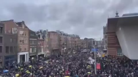 Massive Amsterdam protest