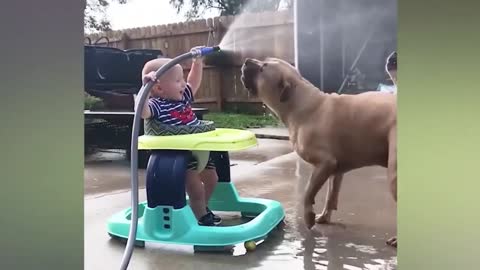 Babies playing with Dogs funny