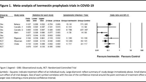 The Story of Ivermectin