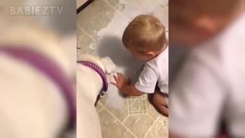 Adorable babies playing with cat and dogs
