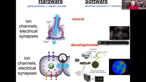 Towards AI-Driven Discovery of Electroceuticals