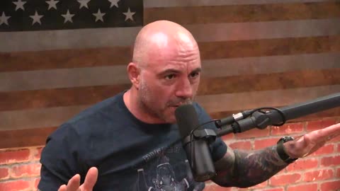 Joe Rogan Experience #1035 - Paul Stamets