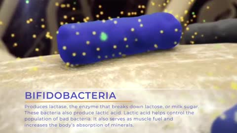 PROBIOTICS BENEFITS FOR WEIGHT LOSS/OVER ALL HEALTH