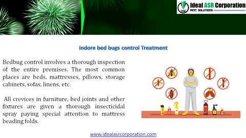 Bed Bugs Control Treatment Services in Indore - with Ideal ASR