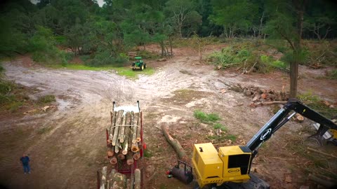 Hardwood Thinning L.K. Barlow 40 Acres