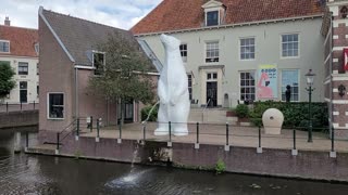 plassende ijsbeer Amersfoort