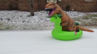 T-Rex Slides Down Snowy Hill