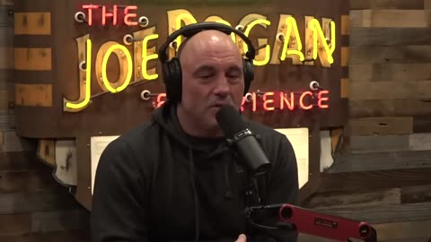 Joe Rogan & Theo LOL: How Do They Get Us Into The Cages