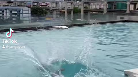 Not the best water dive technique 😂