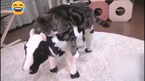 BEST 2022 FUNNIEST ANIMALS 😹 Funny Animal Videos Compilation 😹 Try Not To Laugh