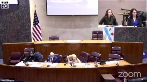 Council Committee on Insightful Raw Footage: Chicago City Education and Child Development