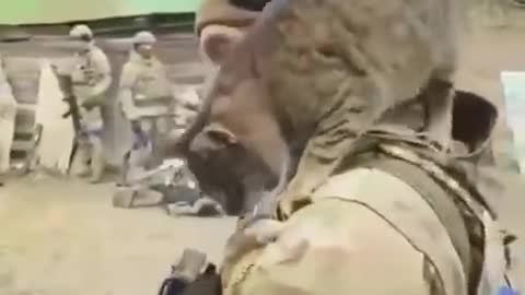 Military cats and their people