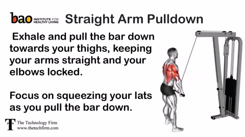 Cable Straight Arm Pulldown