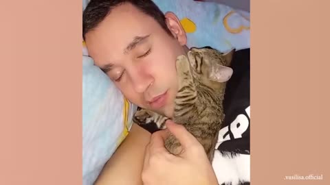 Try Not To Buy A Cat After Watching This 😍🤩 ADORABLE CATS COMPILATION