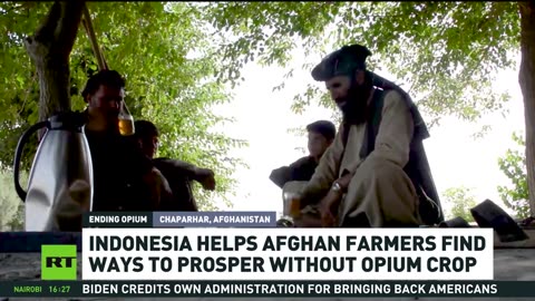 Indonesia helps Afghan farmers find alternatives to opium production