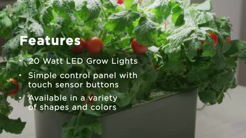 Indoor Garden with LED Grow Light