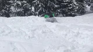 White jacket snowboarder backflips into snowy faceplant