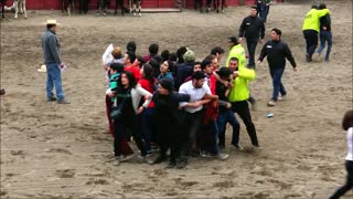 Animal libre organization protest at Rodeo festival in Chile