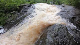 Wild Waterfall