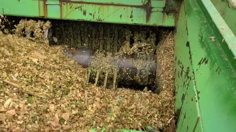 Bagging Silage