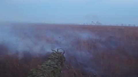 🔥🎯🇷🇺🇺🇦 Ukraine Russia War | T-80BVM Fires Shots on UAF Position | Forest Belt near Tor Ledge | RCF