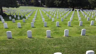 Zachary Taylor Memorial