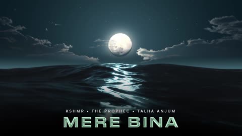 Mere Bina - KSHMR ft The PropheC & Talha Anjum