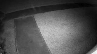 Strange lights caught on security camera Aug 15, 2021 6:00 AM