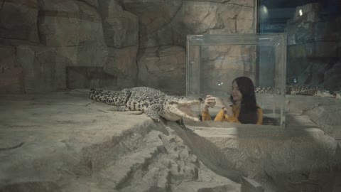 people look at crocodiles in a large oceanarium