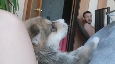 Husky Puppy Learns to Howl Like a Wolf