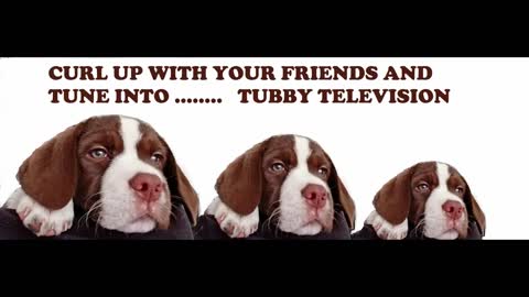 TUBBY TV - TUBBY MEETS BEAR