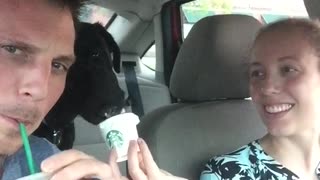 Maryse has her first Starbucks experience