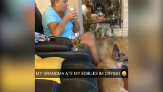 URNEBESNO Pogledajte reakciju jedne bake nakon što je pojela unukov kolač od kanabisa