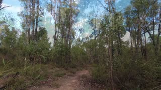 Bibbulmun Track part 20 Dookanelly To Possum Springs