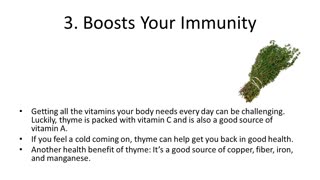 10 Powerful Thyme Herb Benefits for Your Health