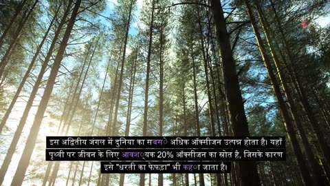 Amazing Facts | पृथ्वी कैसे बनी? | पृथ्वी का जन्म कैसे हुआं ? How Our Earth Was Formed?