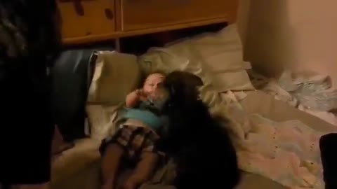 Watch this dogs protecting babies.