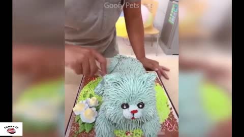 Lovely Cat Reaction to Cutting Cake - Funny and Adorable Dog Cake Reaction Compilation