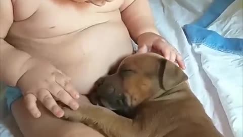 Adorable Baby Touches Sleepy Puppy as It Lays in His Lap