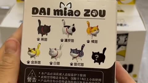 Electric Feline Visually impaired Box - Unpack Love and Liveliness!"