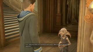 Hogwarts Legacy - The Plight of the House Elf