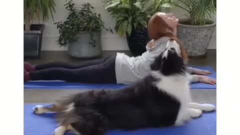 Doggo knows Yoga 🧘‍♀️