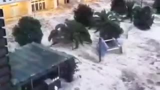 Terrifying footage show massive waves slamming coast in Sochi, Russia due 'severe' Storm Bettina.