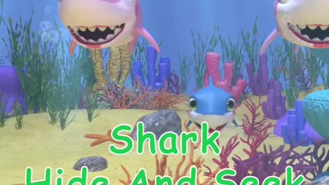 Deep Secrets of Baby Shark Revealed! Discover the Hidden World of Shark Hide and Seek