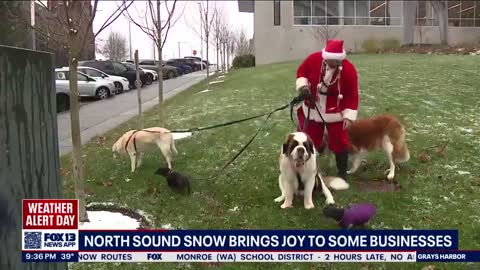 'Scooby Clause' bringing joy to Everett neighbors as snow hits FOX 13 Seattle