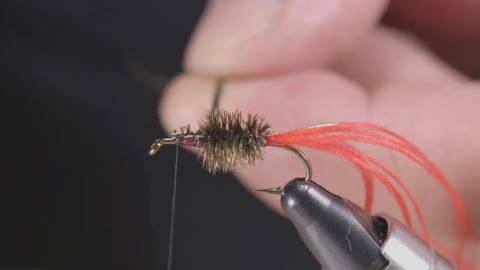 Make Fly Tying a Red Tag Wet Fly
