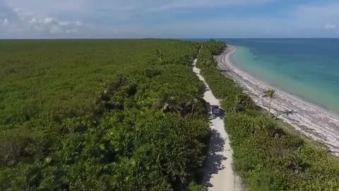 Sea waves & Beach drone video.