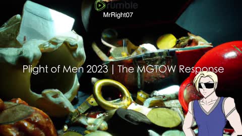 The Plight of Men 2023 | The MGTOW Response