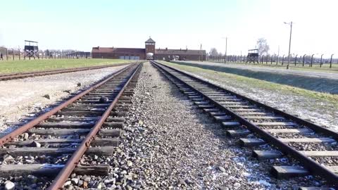 AUSCHWITZ: The Complete DISTURBING Tour | WARNING: Actual footage