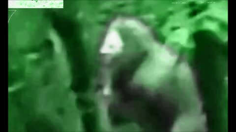 Interesting Bigfoot video capture